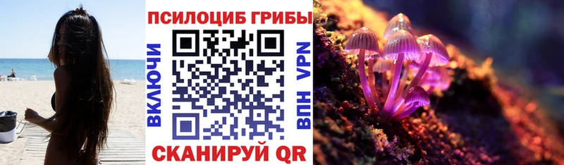 Купить  Петров Вал  Галлюциногенные грибы Cubensis 